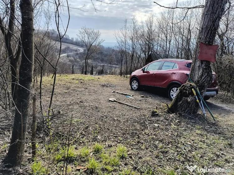 Teren cu vita de vie comuna Cristian judetul Sibiu 500mp - 4