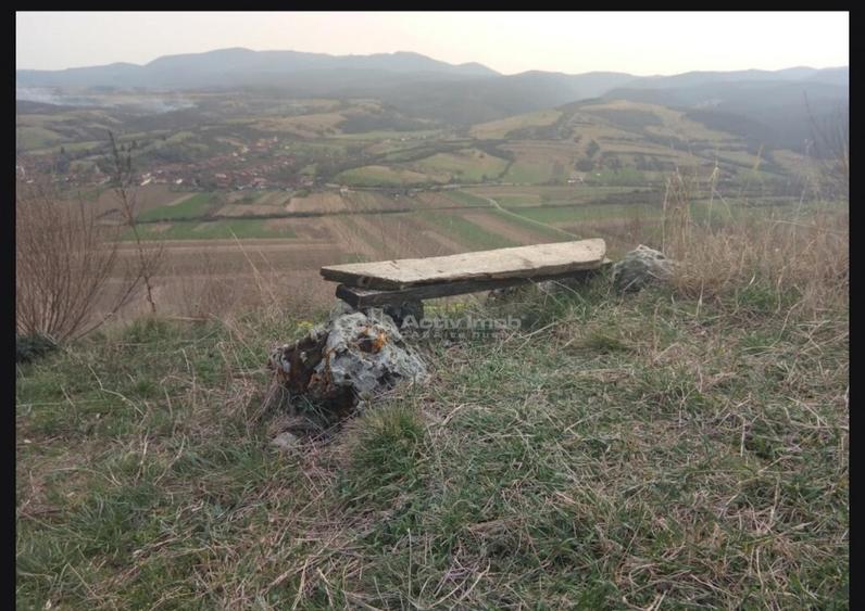 Casa de in Uileacul de Beius gospodarie traditionala,... - 12