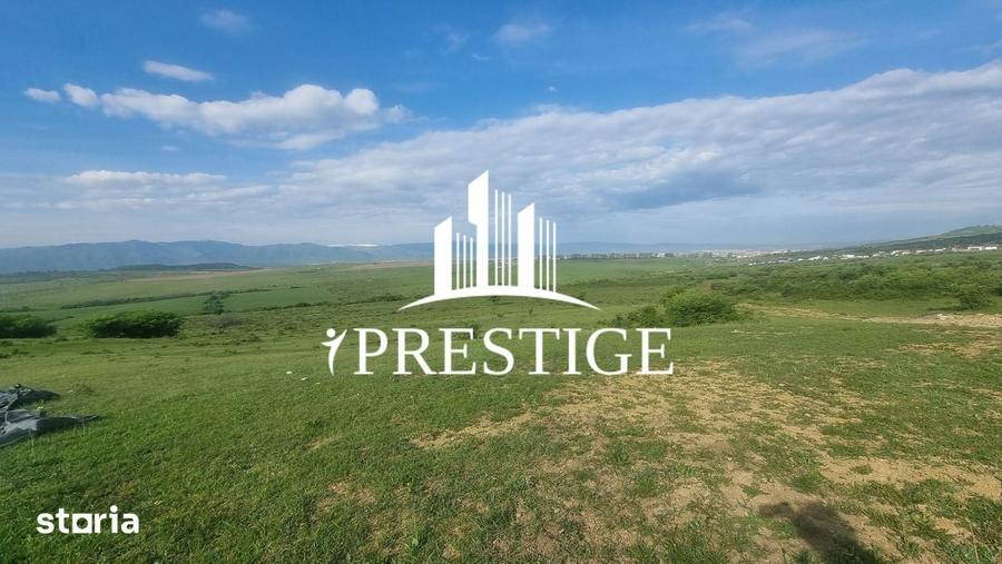 Teren de 2000 mp, în Trei Stejari