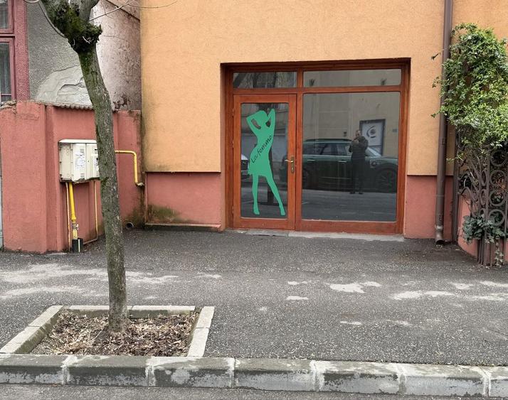 Spatiu comercial de inchiriat 24mp stradal Strada Paltinis. 450 Neg. - 1