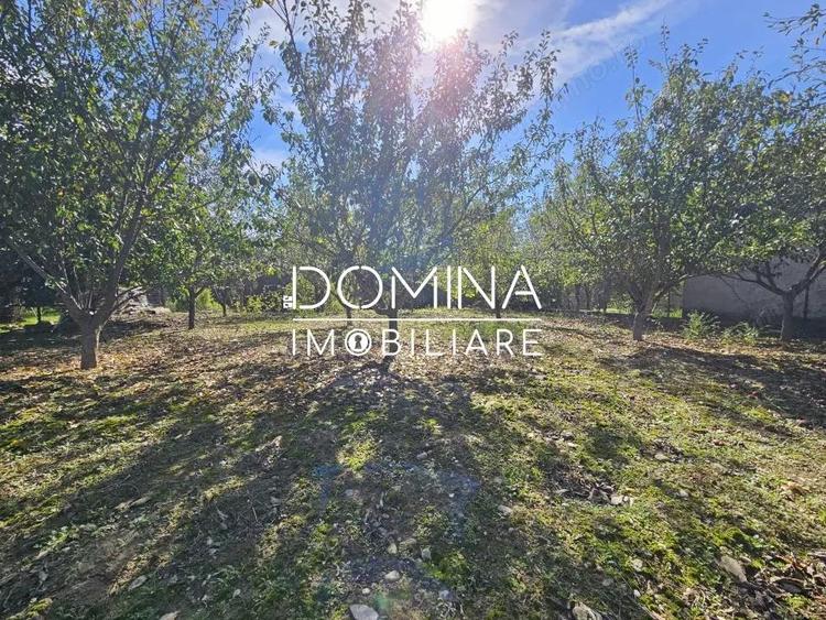 Vanzare teren *intravilan 308 mp cu utilita?i* - Sat Ceauru, Comuna Bale?ti - 4