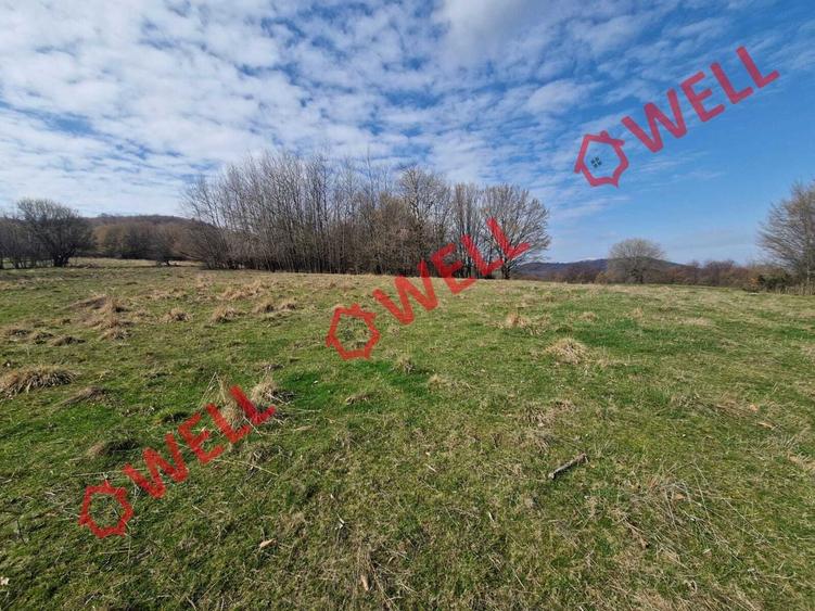 De vânzare teren extravilan în localitatea Brădet! - 10