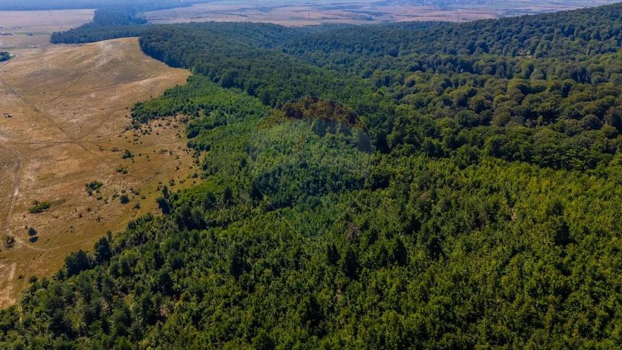 Teren 6,000mp Crizbav / Strada principala - 6