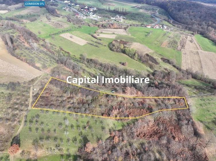 Teren de vanzare in Gro?i, Maramure?, 55 ari - 6