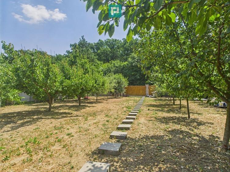 Teren edificabil 1106 mp – Dumbrăvița - 1