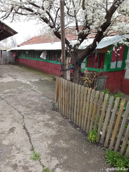 vand casa - 2