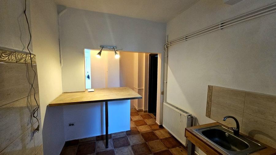 Apartament 1 camera in bloc interbelic langa Palatul Cotroceni - 8