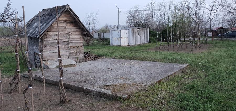 Teren intravilan 2300mp Sarulesti Sat Calarasi - 8