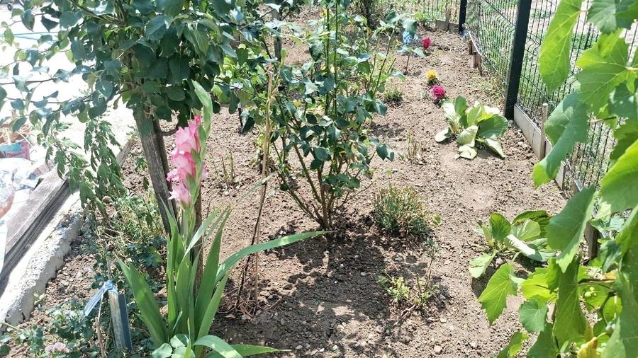 Casa duplex, mobilata si utilata, disponibila imediat - 3