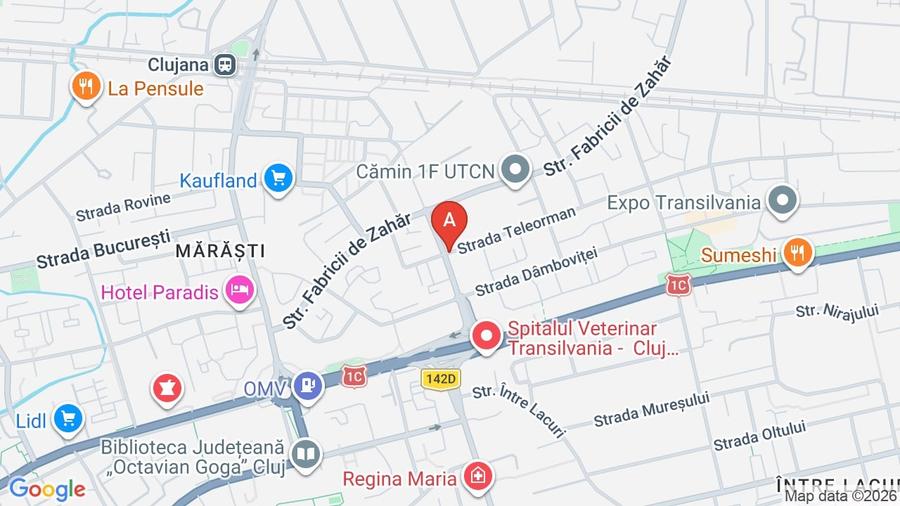 Apartament 1 cameră, decomandat,  et. 1, langa Iulius Mall direct de la proprie - 9