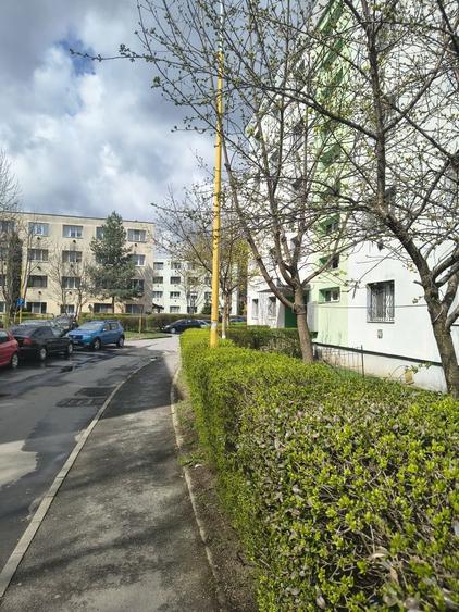 Camera de camin tip garsoniera - 2