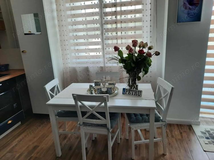 Cazare regim hotelier- Blue Zone Apartament 2 camere, 50 euro negociabil