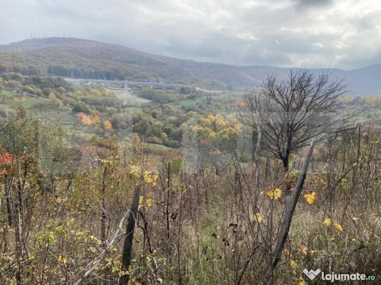 Teren extravilan suparfata 787 mp in zona Bradet - 5