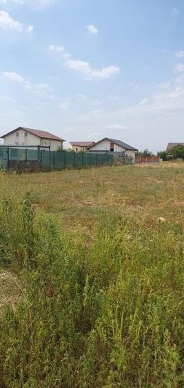 Teren intravilan Adunatii Copaceni-Mogosesti - 2