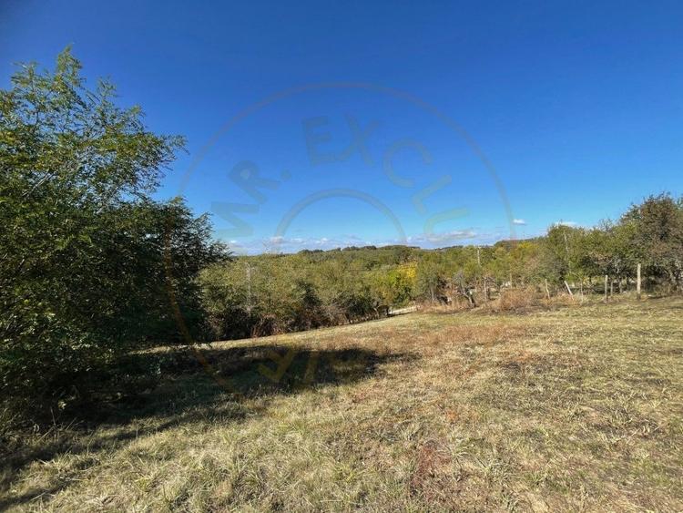 Teren generos Arges Babana - 2