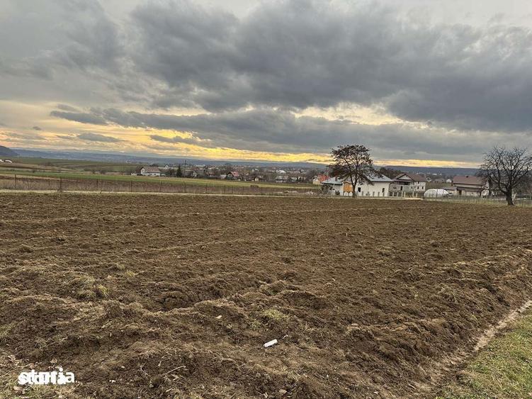 Teren intravilan in Mitoca?i 67500 euro - 6