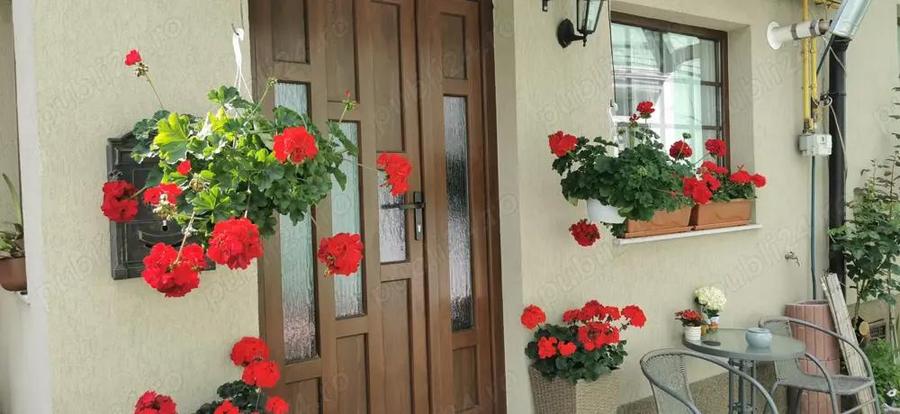 Vand casa in Oradea ultracentral strada Cuza Voda - 9