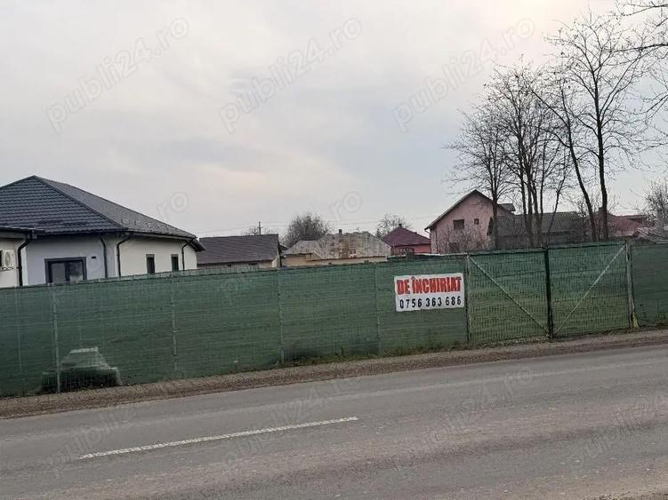 Ofer spre chirie Teren in Horia ,910 MP 18,50 ML deschidere ,300 euro luna - 7