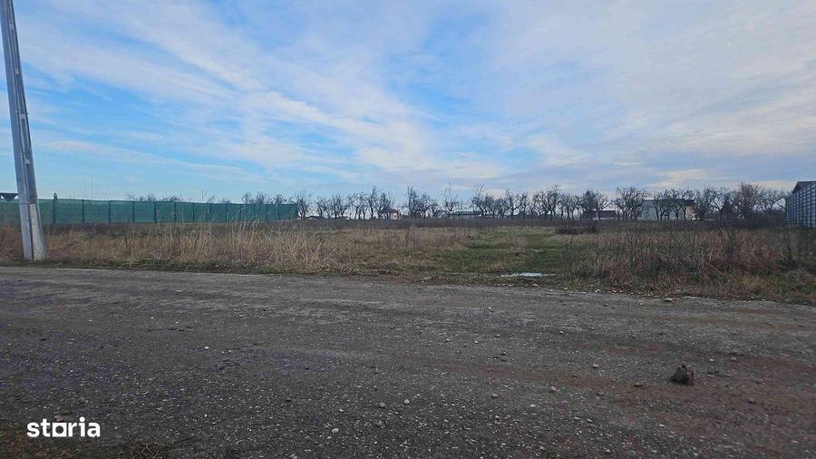 Teren intravilan situat in Albota - 5