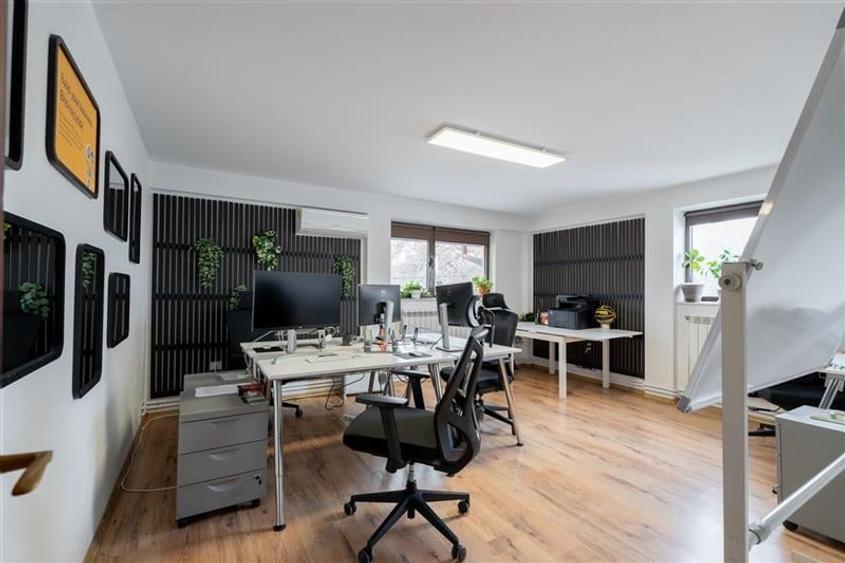 Vila Eleganta in Copou  Locuinta sau Birou! - 2