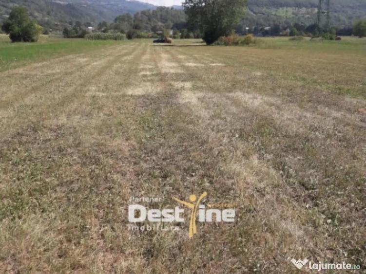 Teren de vanzare Pangarati 58.500 Euro 4488mp Intravilan - 1