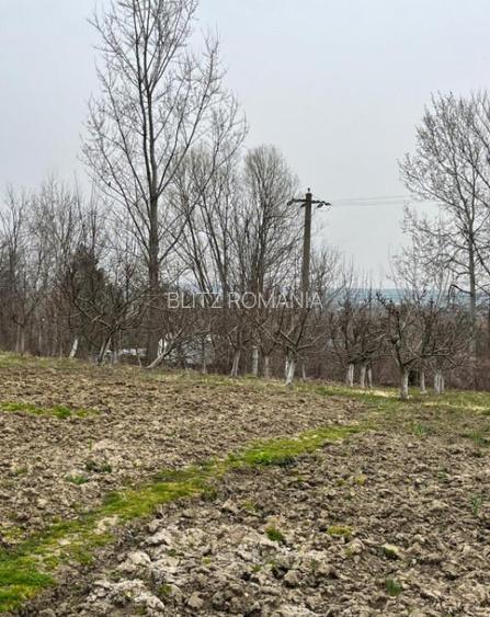 Teren intravilan, 2100 mp, deschidere 26 ml - Siret