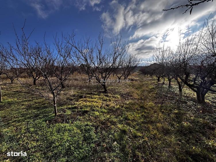 Teren Intravilan Str Livezilor - 4