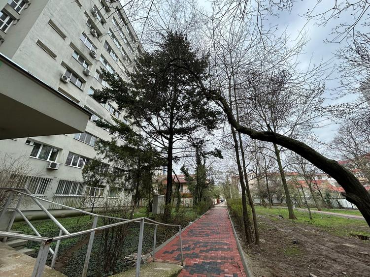 Garsoniera Titan 31 Mp Bloc 1969 Reabilitat 10 Min Metrou 1 Min Parc Titanii - 13