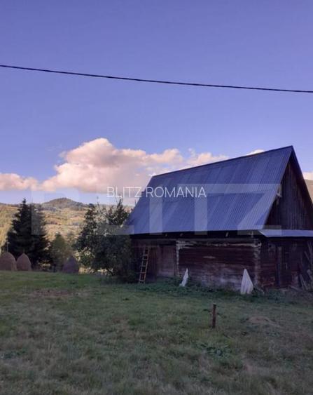 Casa la munte, cu teren 13383 mp, zona Horea - Apuseni