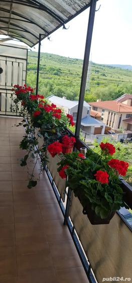 Vanzare apartament 5 camere, cartier Gheorgheni, Cluj-Napoca. - 11