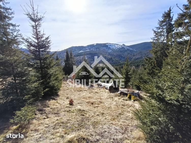 Teren de vanzare in zona montana a judetului Alba - 4