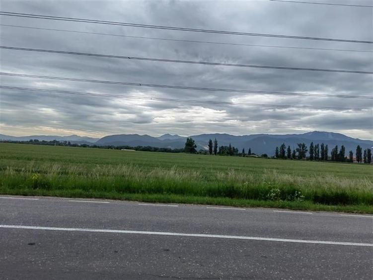 TEREN DE INCHIRIAT IN SUPRAFATA DE 2,8 HA IN ONESTI - 1