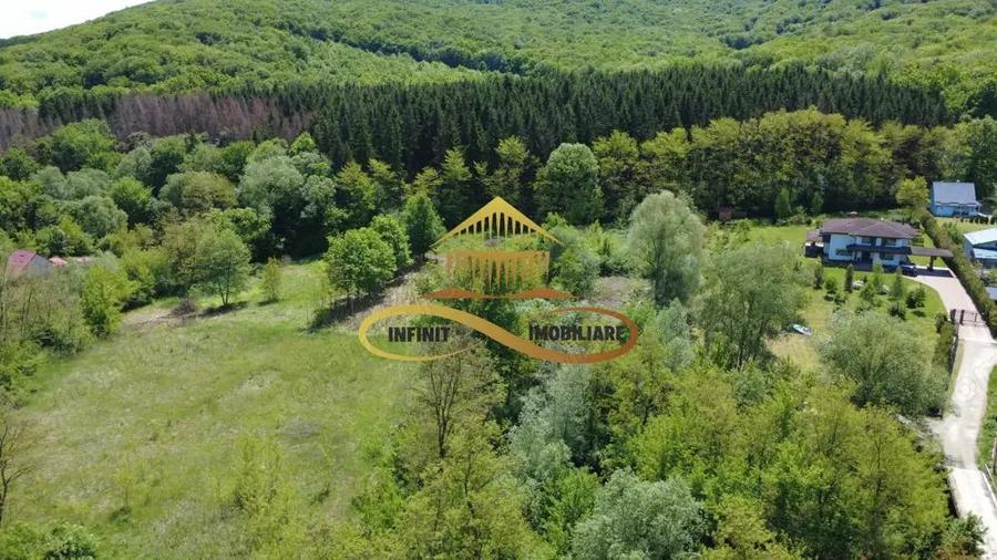 Teren intravilan | 3.128 mp INTRAVILAN | Luncani-de vanzare - 1