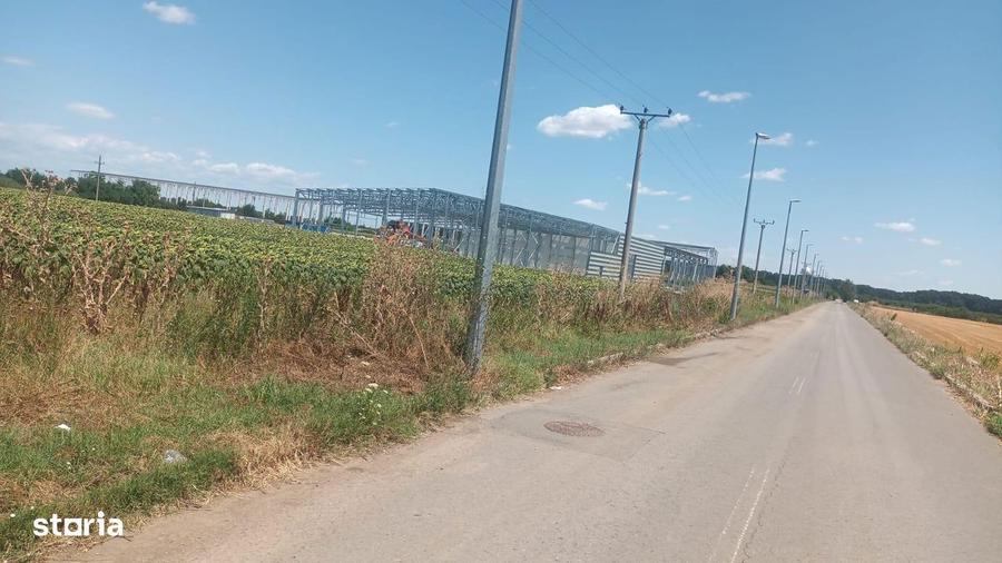 Teren Intravilan Buftea langa Autostrada A0 - ideal hale industriale - 5