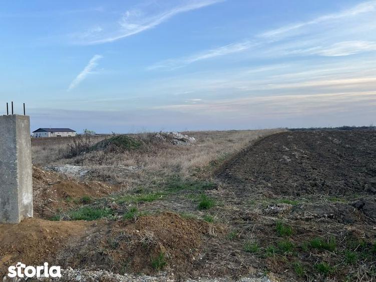 Teren de vanzare Peris intravilan - 3