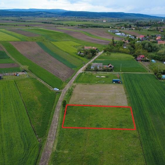 Teren intravilan de vânzare în Dobolii de Jos! - 3