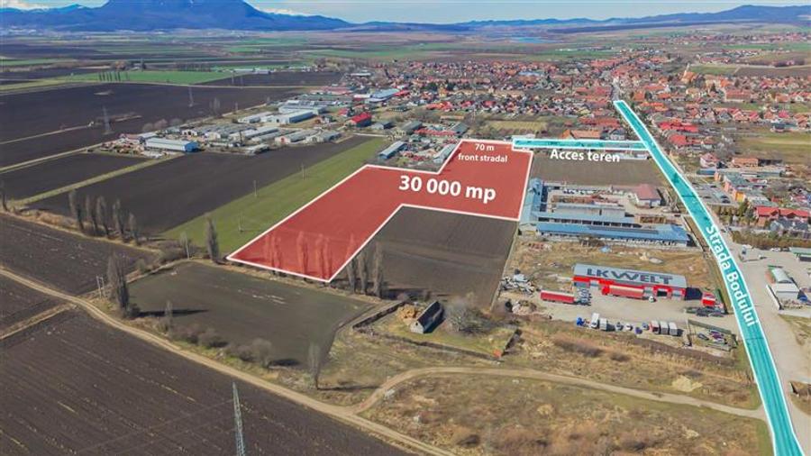 FILM! 30.000mp teren intravilan, Central, Halchiu, Brasov - 1