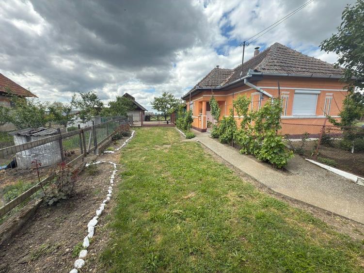 Ofer spre vanzare Casa + Teren 23 Ari in Comuna Craidorolt - 4