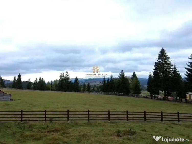 Teren 2804 mp, la munte! In Bucovina Fundu Moldovei! - 5
