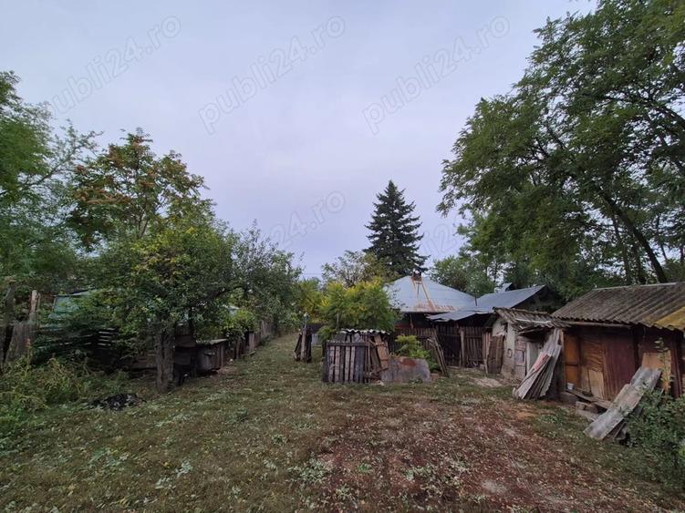 Casa cu teren 3.682 mp, sat Radu Voda (com. Lupsanu, jud. Calara?i) - 4