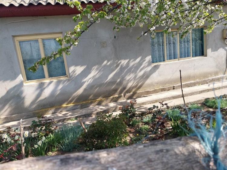 Vand casa ( teren 2.000 mp) in sat Pietrele, jud. Giurgiu - 7