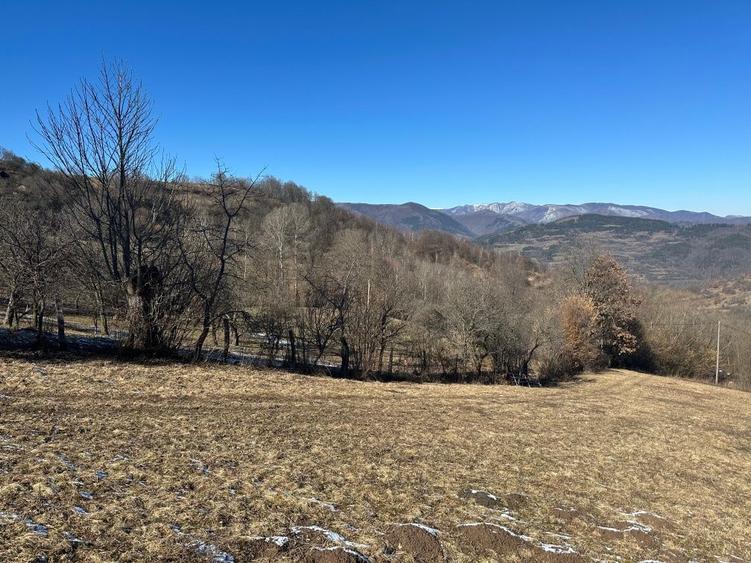 Teren de vanzare - 5