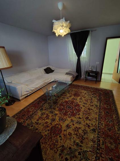 Vand casa in satul Ianova, la 20 km de Timisoara - 7