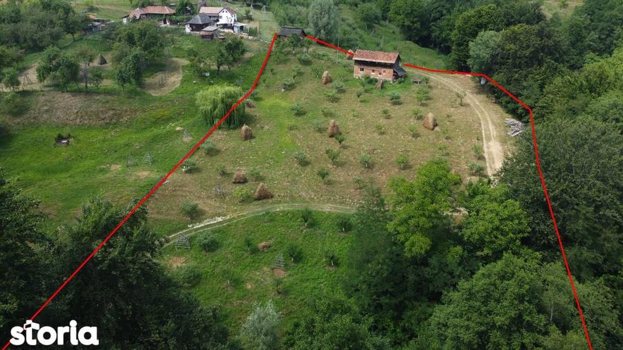 Teren de vanzare in comuna Cicane?ti, sat Bara?ti, Judet Arges. - 16