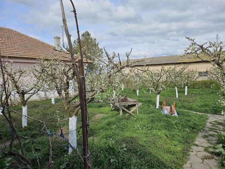 Ferma de vanzare sau la schimb cu teren arabil, imobiliare - 1