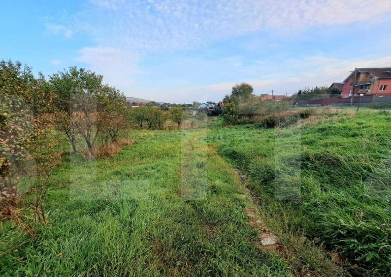 Teren extravilan, 1410 mp, situat pe Valea Chintaului - 2