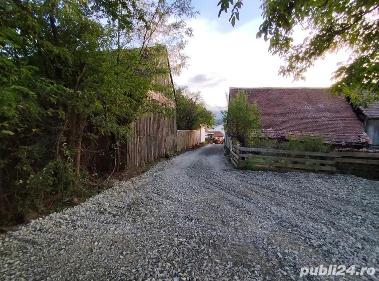 Casa Sacel Teren 1400 mp livada - 4