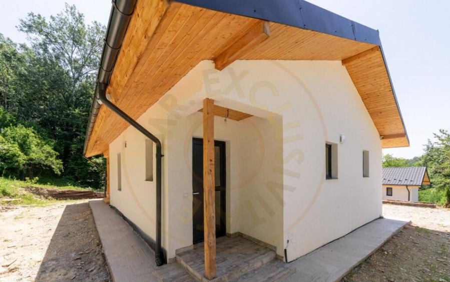 CASA EFICIENTA ENERGETIC - NZEB in mijlocul naturii -Valea - 10