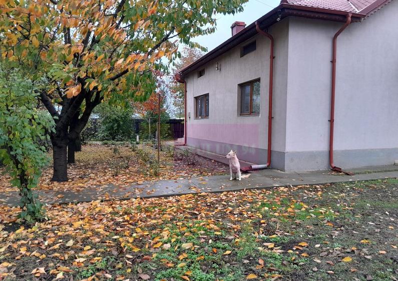 ISLAZ / IF - CASA P+1 (7 CAM) DE VANZARE - 17