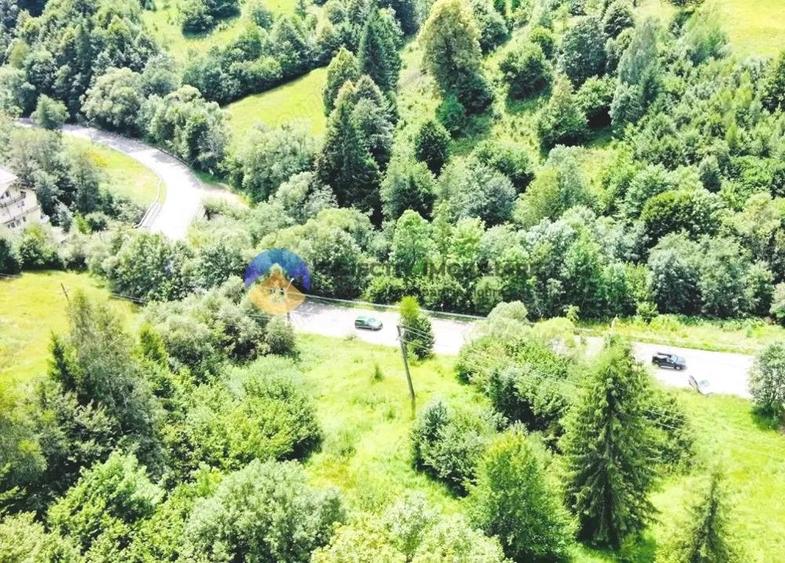 TEREN Izvoru Muntelui, langa orasul BICAZ - 7